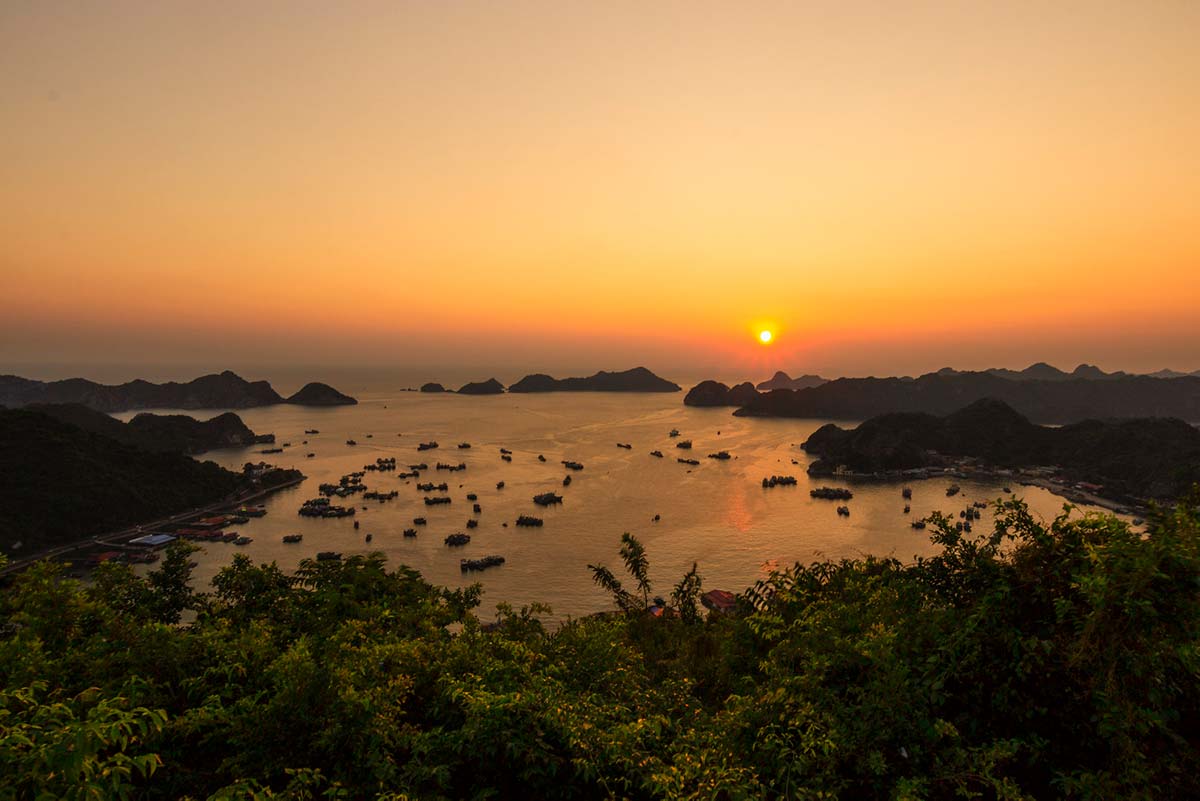 localvietnam.com/blog/ca...