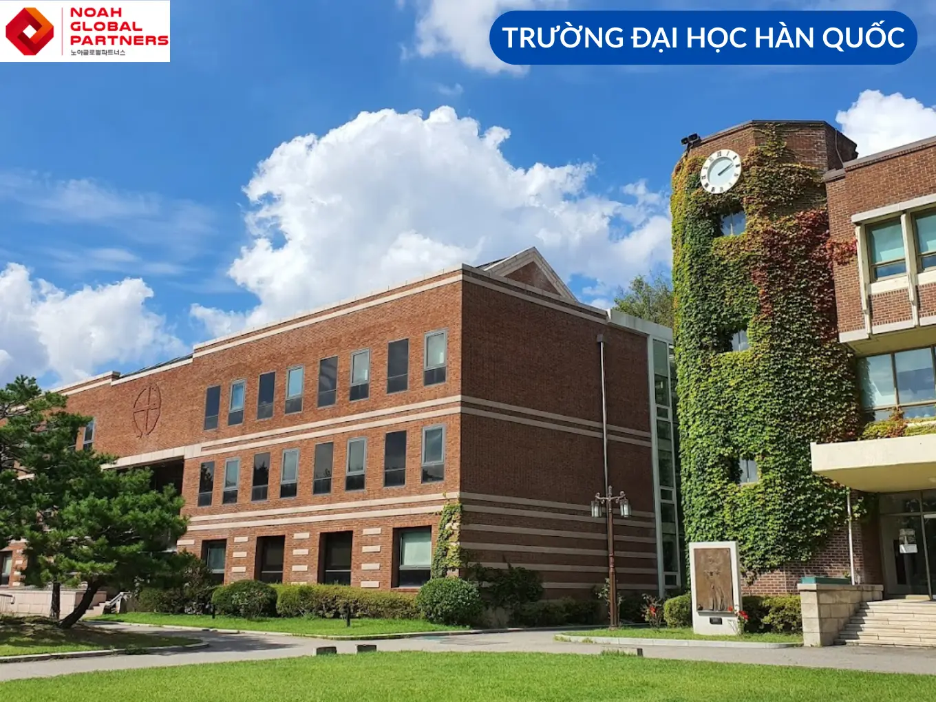 GIỚI THIỆU VỀ TRƯỜNG ĐẠI HỌC CATHOLIC HÀN QUỐC